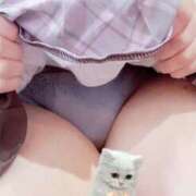 ヒメ日記 2026/02/17 23:36 投稿 れの【激カワロリ系ルックス】 STELLA TOKYO－ステラトウキョウ－