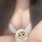 ヒメ日記 2026/02/20 17:19 投稿 れの【激カワロリ系ルックス】 STELLA TOKYO－ステラトウキョウ－