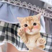 れの【激カワロリ系ルックス】 ☀ STELLA TOKYO－ステラトウキョウ－