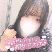ヒメ日記 2026/07/26 12:55 投稿 はづき ぽっちゃり巨乳素人専門店ぷにめろ渋谷店