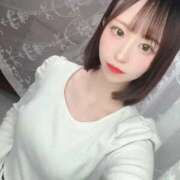 ヒメ日記 2026/02/11 03:20 投稿 東条もな ウルトラプラチナム