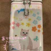 ヒメ日記 2026/02/18 21:31 投稿 コヨミ ラブコレクション