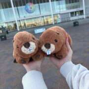 コヨミ お詫び ラブコレクション