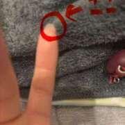 ヒメ日記 2026/03/18 05:01 投稿 コヨミ ラブコレクション