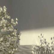 ヒメ日記 2026/02/02 16:17 投稿 仙道 恵玲奈 クラブアイリス大阪