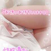 ヒメ日記 2026/02/19 14:19 投稿 黒崎　いちか Mの世界