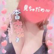 ヒメ日記 2026/03/02 08:57 投稿 黒崎　いちか Mの世界