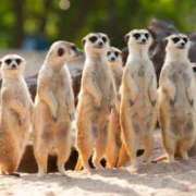 ヒメ日記 2026/02/05 21:25 投稿 まいん Beppin house