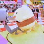 ヒメ日記 2026/03/04 13:30 投稿 まいん Beppin house