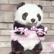 ヒメ日記 2026/04/11 05:19 投稿 そら 白いぽっちゃりさん五反田店