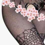 ひろ お花見 Part２( *´艸`) マダムハンズ神田店