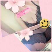 ヒメ日記 2026/03/08 12:00 投稿 あみ マダムハンズ神田店