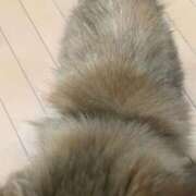 ヒメ日記 2026/01/27 18:54 投稿 神田みち ウフフな40。ムフフな50。。（横浜ハレ系）