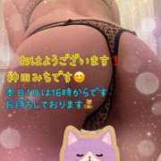 ヒメ日記 2026/03/01 01:42 投稿 神田みち ウフフな40。ムフフな50。。（横浜ハレ系）