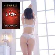 ヒメ日記 2026/02/22 18:45 投稿 いか 小岩人妻花壇