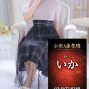 ヒメ日記 2026/02/23 20:15 投稿 いか 小岩人妻花壇