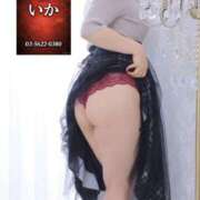 ヒメ日記 2026/02/24 15:02 投稿 いか 小岩人妻花壇