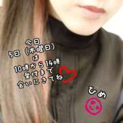 ヒメ日記 2026/02/05 10:33 投稿 ひめ マダム錦糸町