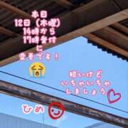 ヒメ日記 2026/03/12 11:33 投稿 ひめ マダム錦糸町