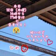 ヒメ日記 2026/03/12 11:50 投稿 ひめ マダム西船橋