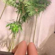 ヒメ日記 2026/03/06 18:57 投稿 真紀/まき ギャルズネットワークネクスト 奈良