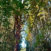 ヒメ日記 2026/10/08 09:57 投稿 真紀/まき ギャルズネットワークネクスト 奈良