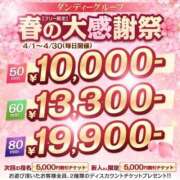 ヒメ日記 2026/04/03 13:16 投稿 藤江すう 横浜ダンディー