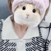 ヒメ日記 2026/03/26 11:20 投稿 うみ ミセスコレクション(岡山)