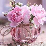 ヒメ日記 2026/02/02 19:49 投稿 白石 熟らぶ