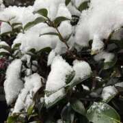 ひじり ゆき❄️！ デザインプリズム新宿