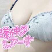 ヒメ日記 2026/02/04 11:51 投稿 れい 奥様さくら難波店