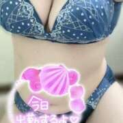 ヒメ日記 2026/02/15 13:51 投稿 れい 奥様さくら難波店