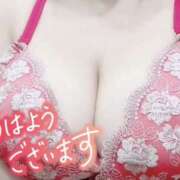 ヒメ日記 2026/02/20 10:41 投稿 れい 奥様さくら難波店