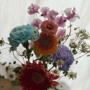 ヒメ日記 2026/02/08 18:49 投稿 日月　いのり ミセスサマンサPLUS