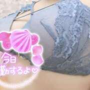 ヒメ日記 2026/01/27 11:47 投稿 れい clubさくら難波店