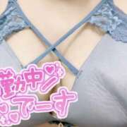 ヒメ日記 2026/02/11 12:47 投稿 れい clubさくら難波店