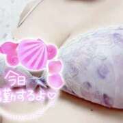 ヒメ日記 2026/02/17 11:20 投稿 れい clubさくら難波店