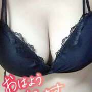 ヒメ日記 2026/03/17 09:41 投稿 れい clubさくら難波店