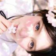 ヒメ日記 2026/04/16 13:30 投稿 えみり ルピナス