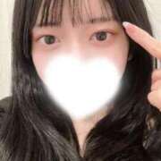 ヒメ日記 2026/02/05 07:15 投稿 せりな E+アイドルスクール新宿・歌舞伎町店