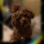 ヒメ日記 2026/02/10 15:01 投稿 ゆか 山梨デリヘル 人妻物語 ～極～