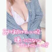 ヒメ日記 2026/02/04 16:16 投稿 らいら ぽっちゃり巨乳素人専門横浜関内伊勢佐木町ちゃんこ