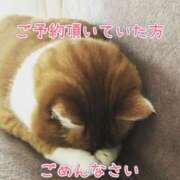 ヒメ日記 2026/02/06 10:13 投稿 村田 絵里 熟女・人妻マダム宮殿