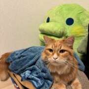 ヒメ日記 2026/01/26 14:48 投稿 こい 女の子がセルフで撮影する店！！成田デリヘル『生パネル』伝説