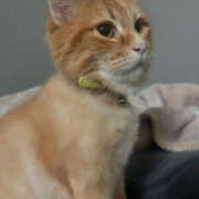 ヒメ日記 2026/01/28 16:12 投稿 こい 女の子がセルフで撮影する店！！成田デリヘル『生パネル』伝説