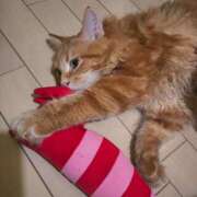 ヒメ日記 2026/01/29 05:18 投稿 こい 女の子がセルフで撮影する店！！成田デリヘル『生パネル』伝説