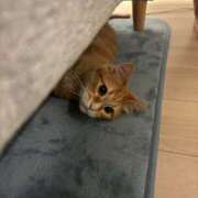 こい 退勤！ 女の子がセルフで撮影する店！！成田デリヘル『生パネル』伝説