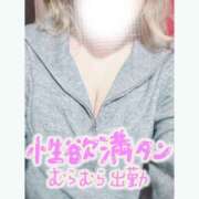 ヒメ日記 2026/02/11 12:03 投稿 らいら 新横浜ちゃんこ