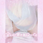 ヒメ日記 2026/02/19 12:05 投稿 らいら 新横浜ちゃんこ