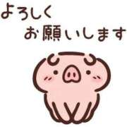 ヒメ日記 2026/02/26 08:35 投稿 せら 宮崎SANSAIN